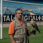 ‘Torres’, a ‘red and white’ falcon to take care of the Calderon's field